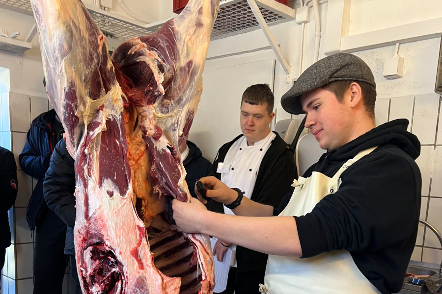 Wildworkshop in Buchet bei Thomas Gstettenbauer